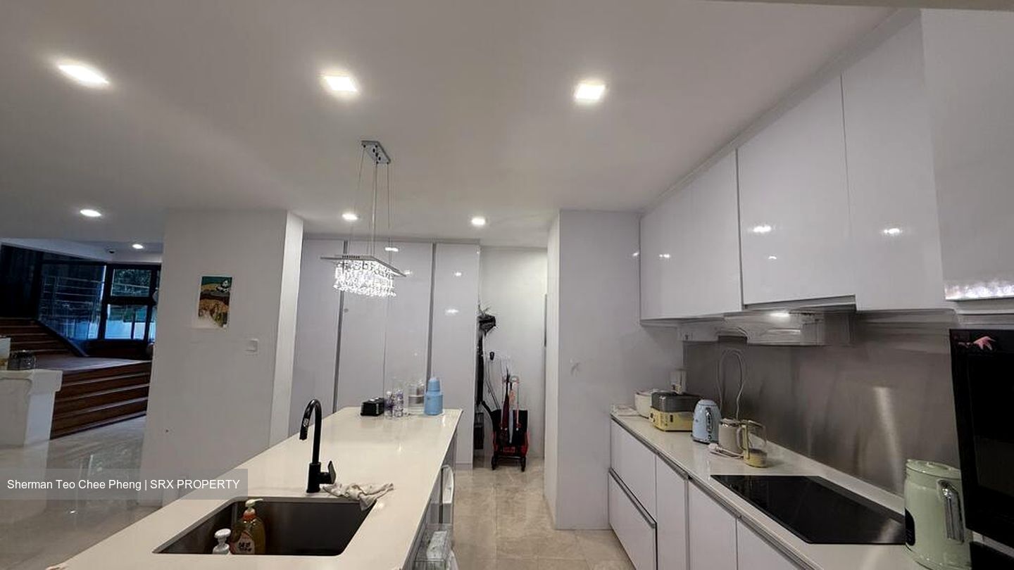 Leedon Park (D10), Detached #497433501